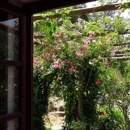My Room - Villa Vina - Ter Monchique Exterior photo