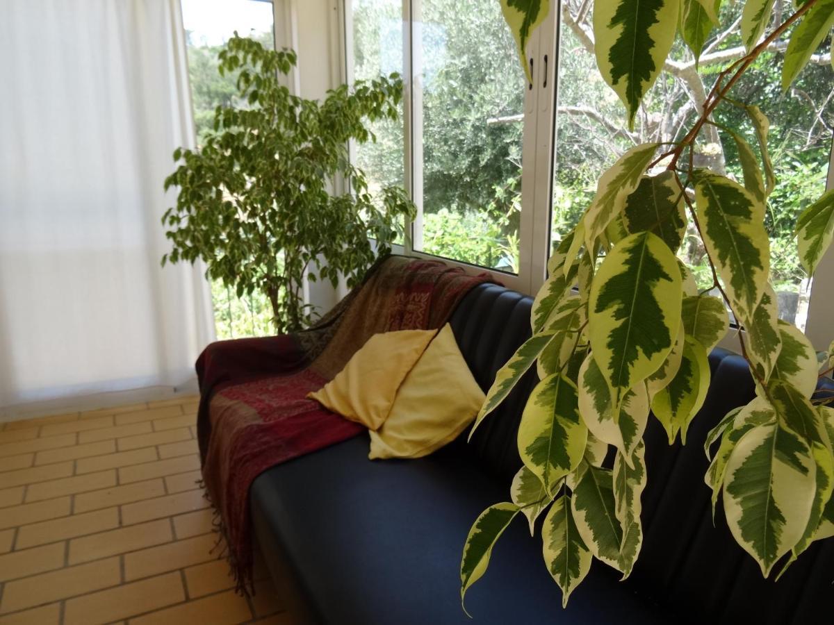 Country house My - Vina  - Ter *