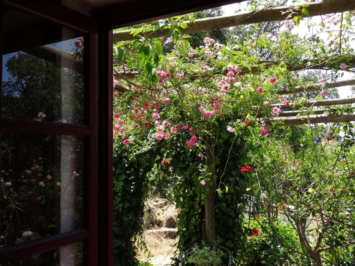 My - Vina  - Ter Country house Monchique