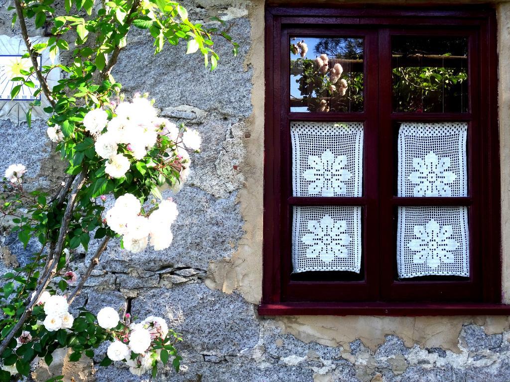 Country house My - Vina  - Ter