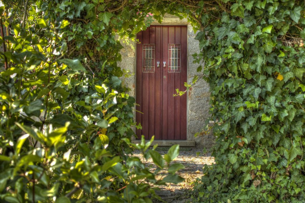 Country house My - Vina  - Ter